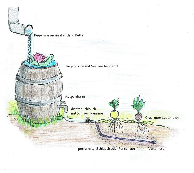 Produktbild: Handbuch Wasser im Garten