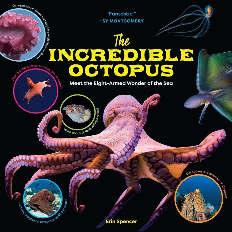 Produktbild: The Incredible Octopus