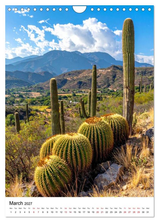 Produktbild: Beautiful Spiky Balls (Wall Calendar 2027 DIN A4 portrait), CALVENDO 12 Month Wall Calendar