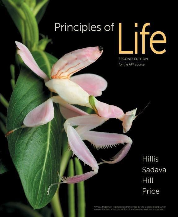 Produktbild: Principles of Life 2e (High School Edition) & Launchpad for Principles of Life, High School (One Use Access)
