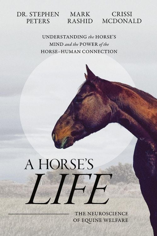 Produktbild: A Horse's Life