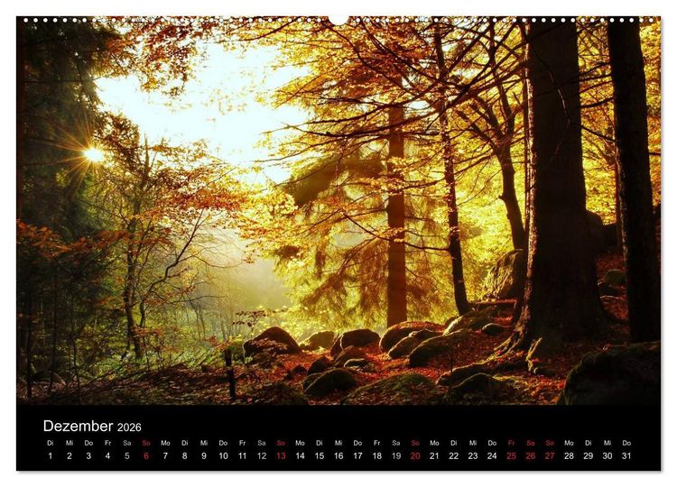 Produktbild: Zauberhafter Bayerischer Wald (Wandkalender 2026 DIN A2 quer), CALVENDO Monatskalender