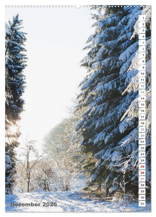Produktbild: EIFEL - Kraftorte Wald und Wasser (hochwertiger Premium Wandkalender 2026 DIN A2 hoch), Kunstdruck in Hochglanz