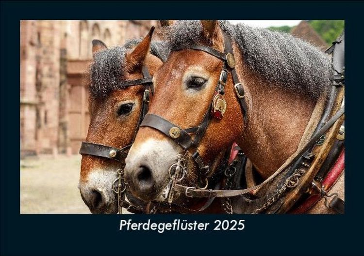 Produktbild: Pferdegefl&uuml;ster 2025 Fotokalender DIN A5