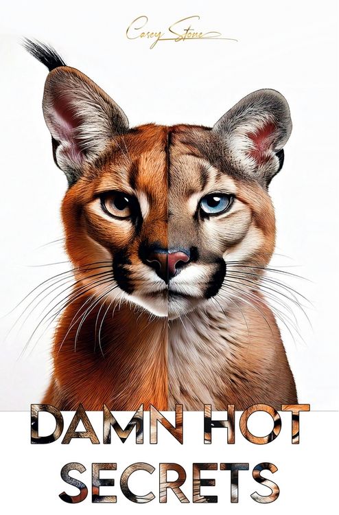 Produktbild: Damn Hot Secrets
