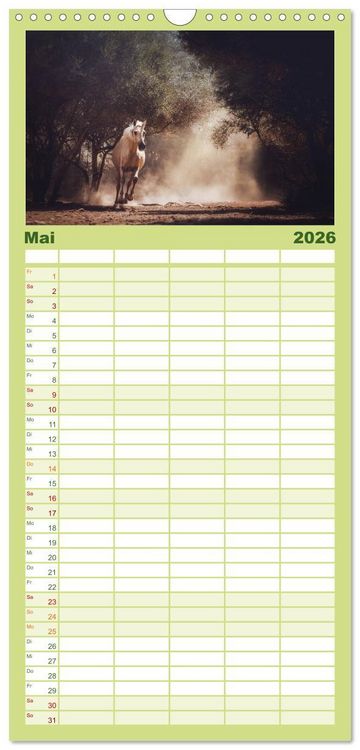 Produktbild: Familienplaner 2026 - Die Faszinierende Welt der Pferde mit 5 Spalten (Wandkalender, 21 x 45 cm) CALVENDO
