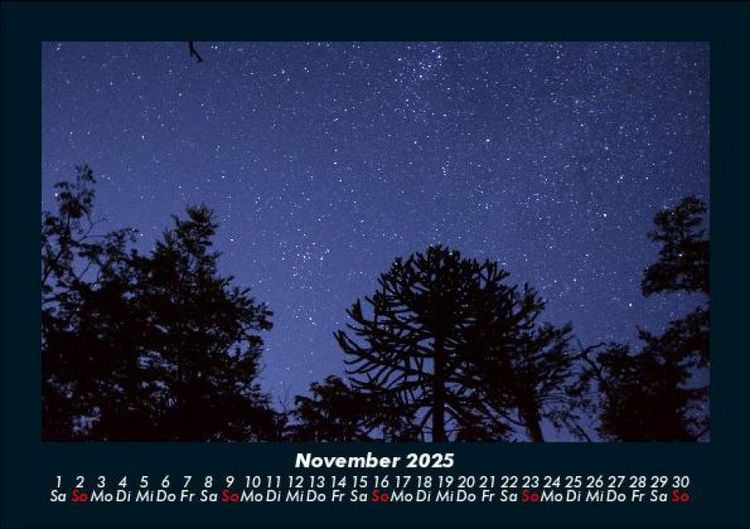 Produktbild: B&auml;ume 2025 Fotokalender DIN A5