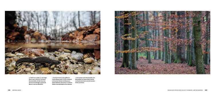 Produktbild: Wilde Isar