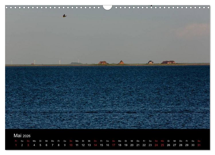 Produktbild: Pellworm 2026 (Wandkalender 2026 DIN A3 quer), CALVENDO Monatskalender