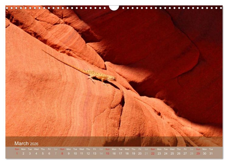 Produktbild: Lights and Colours of the Antelope Canyon (Wall Calendar 2026 DIN A3 landscape), CALVENDO 12 Month Wall Calendar