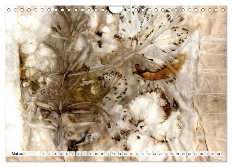 Produktbild: Botanical Printing - Magische Pflanzendrucke (Wandkalender 2027 DIN A4 quer), CALVENDO Monatskalender