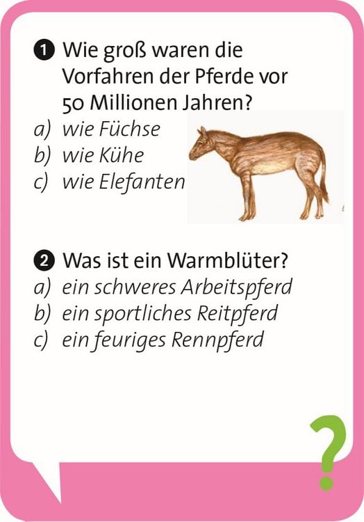 Produktbild: Pocket Quiz junior Pferde