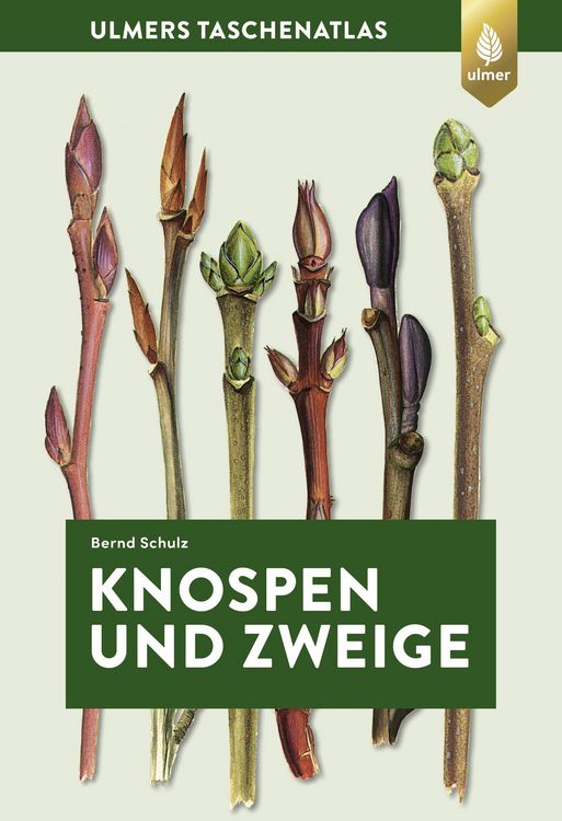 Produktbild: Knospen und Zweige