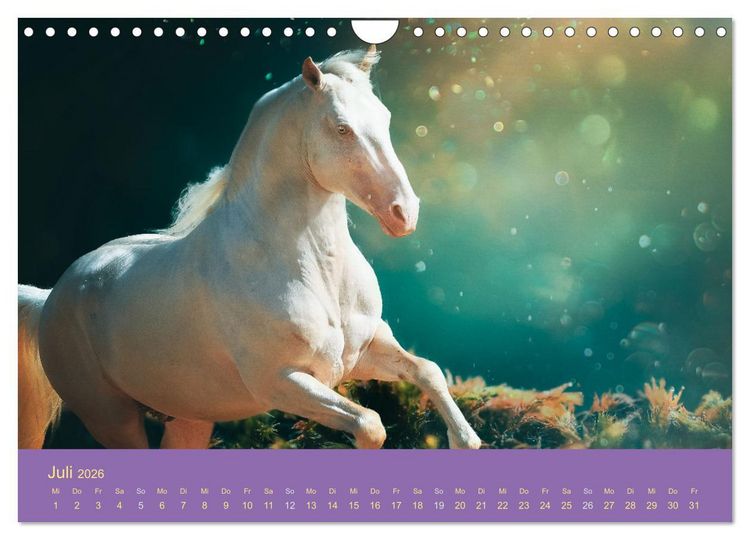 Produktbild: Von der Magie der Pferde (Wandkalender 2026 DIN A4 quer), CALVENDO Monatskalender