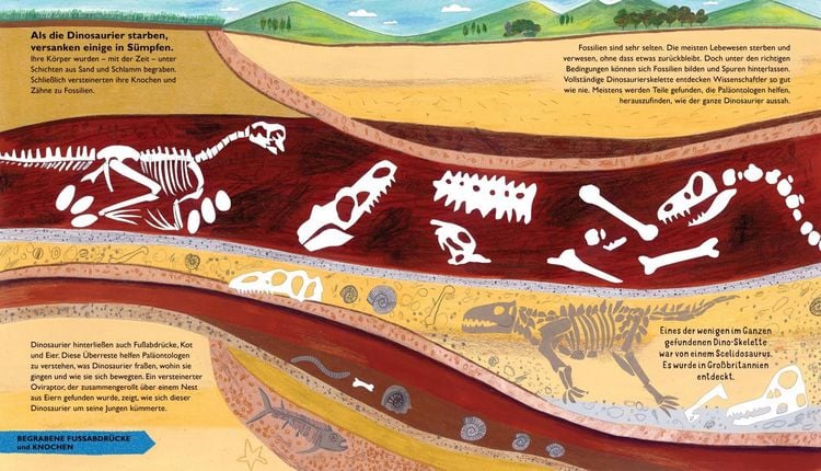 Produktbild: So lebten die Dinosaurier und andere Tiere der Urzeit