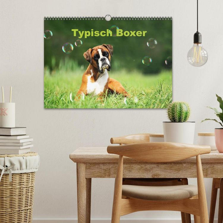 Produktbild: Typisch Boxer (Wandkalender 2026 DIN A3 quer), CALVENDO Monatskalender