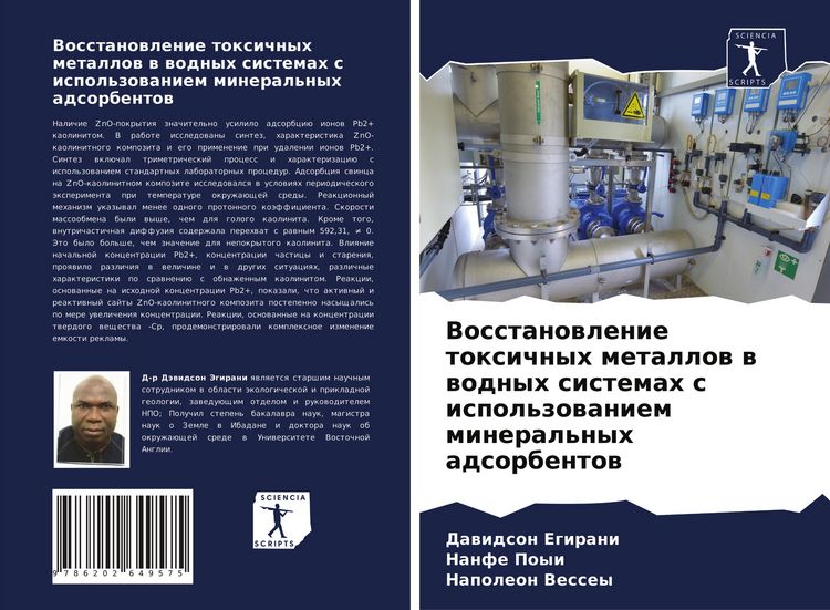 Produktbild: Vosstanowlenie toxichnyh metallow w wodnyh sistemah s ispol'zowaniem mineral'nyh adsorbentow