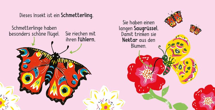 Produktbild: 50 W&ouml;rter &uuml;ber die Natur - Insekten