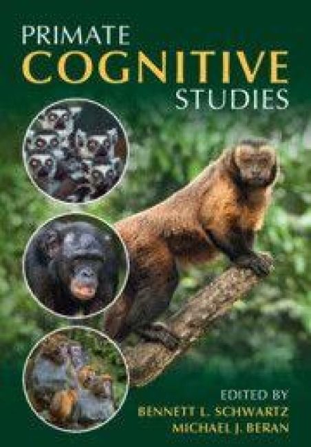 Produktbild: Primate Cognitive Studies