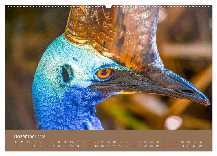 Produktbild: Australien, tierischer Kontinent (Wandkalender 2026 DIN A2 quer), CALVENDO Monatskalender