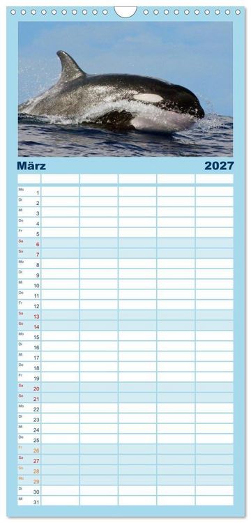 Produktbild: Familienplaner 2027 - Delfine und Wale mit 5 Spalten (Wandkalender, 21 x 45 cm) CALVENDO