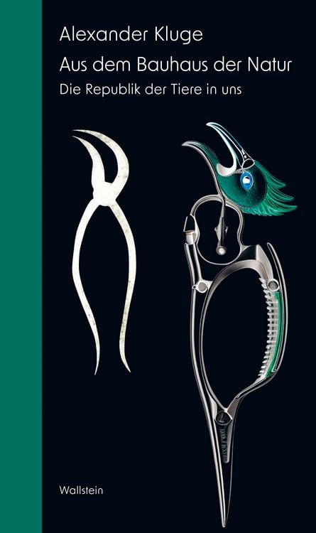 Produktbild: Aus dem Bauhaus der Natur