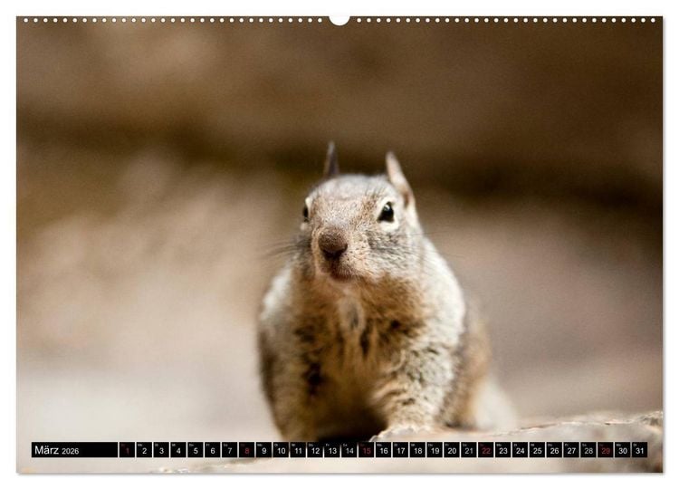 Produktbild: Yosemite - USA (hochwertiger Premium Wandkalender 2026 DIN A2 quer), Kunstdruck in Hochglanz