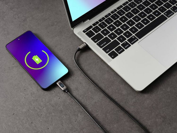 Produktbild: Renkforce USB-Kabel USB 2.0 USB-C&reg; Stecker, USB-C&reg; Stecker 0.50 m Silber (metallic) RF-6249292