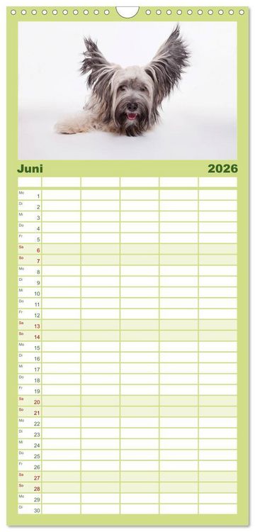 Produktbild: Familienplaner 2026 - SCHLAPPOHREN mit 5 Spalten (Wandkalender, 21 x 45 cm) CALVENDO