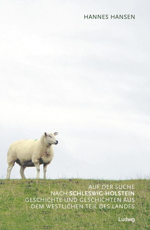 Produktbild: Auf der Suche nach Schleswig-Holstein. Geschichte und Geschichten aus dem westlichen Teil des Landes