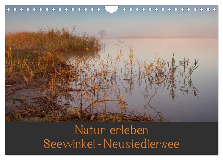 Produktbild: Natur erleben Seewinkel-Neusiedlersee (Wandkalender 2026 DIN A4 quer), CALVENDO Monatskalender