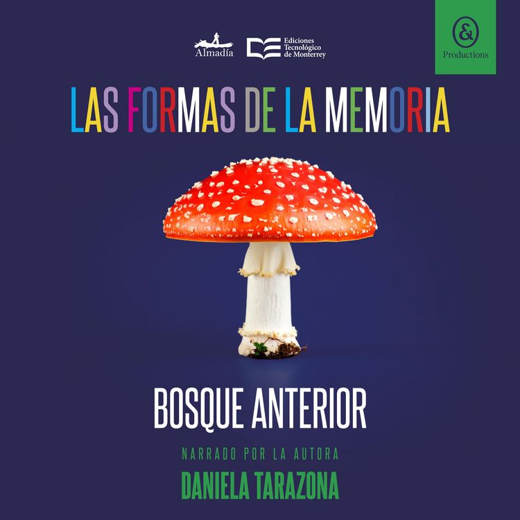 Produktbild: Bosque anterior