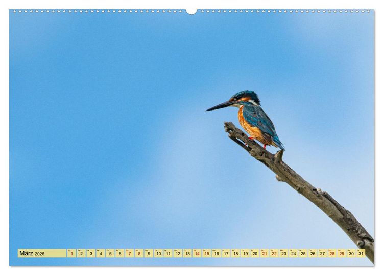 Produktbild: Donaudelta - Europas gro&szlig;es Vogelparadies (Wandkalender 2026 DIN A2 quer), CALVENDO Monatskalender