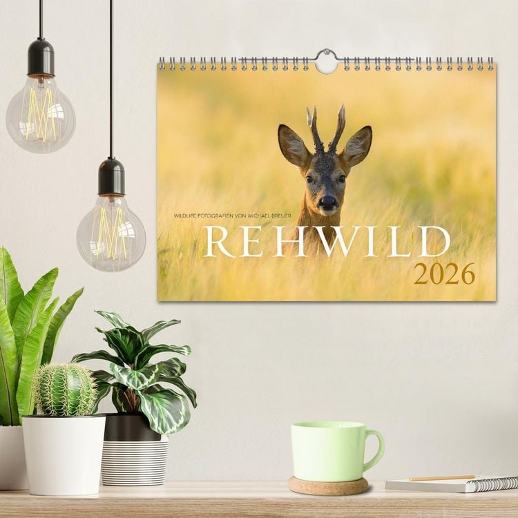 Produktbild: Rehwild 2026 (Wandkalender 2026 DIN A4 quer), CALVENDO Monatskalender