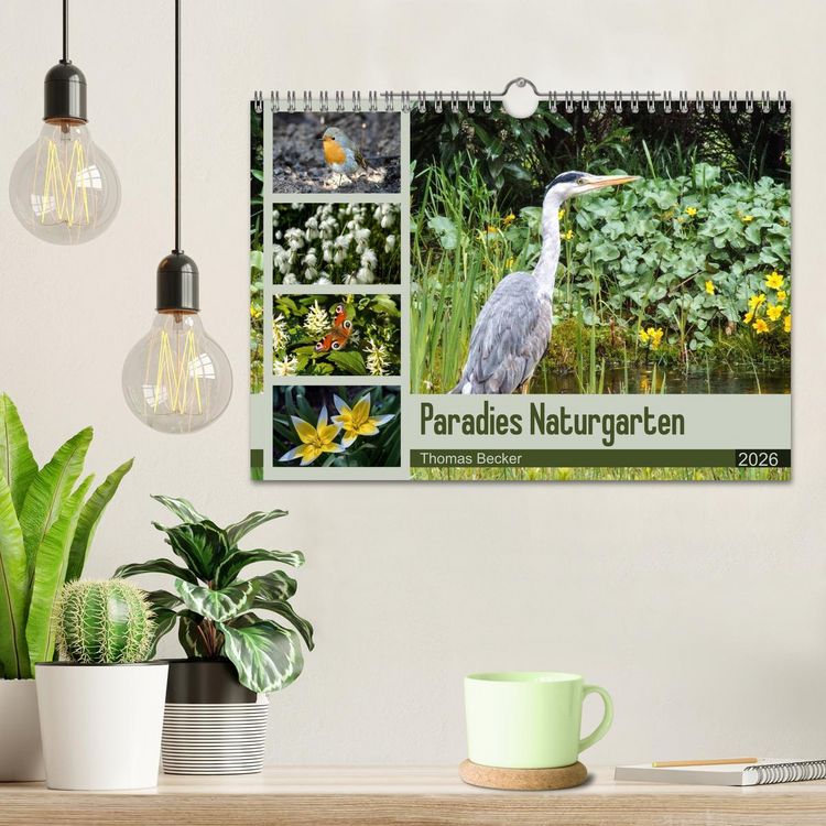 Produktbild: Paradies Naturgarten (Wandkalender 2026 DIN A4 quer), CALVENDO Monatskalender