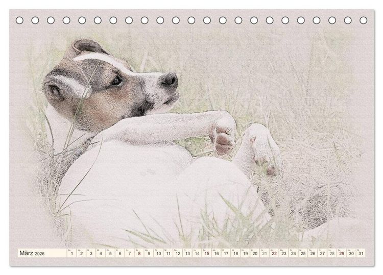 Produktbild: Bodeguero Andaluz 2026 (Tischkalender 2026 DIN A5 quer), CALVENDO Monatskalender