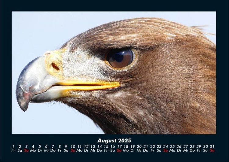 Produktbild: Vogelparadies 2025 Fotokalender DIN A4