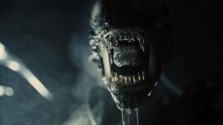 Produktbild: Alien - Romulus (4K Ultra HD) (+ Blu-ray)