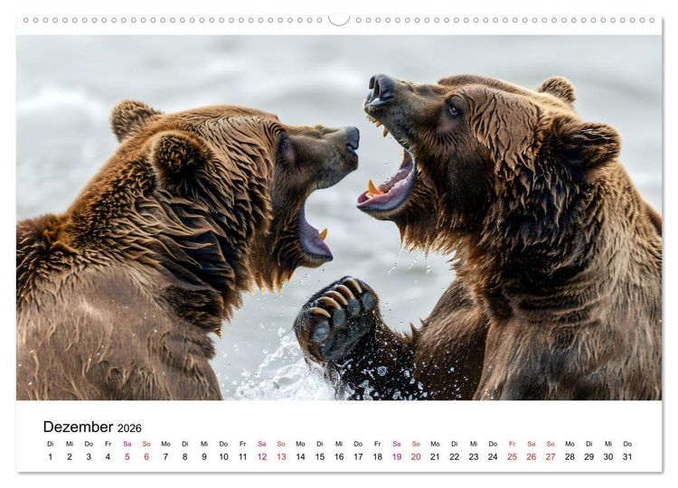 Produktbild: B&auml;ren - gef&auml;hrlich nett (Wandkalender 2026 DIN A2 quer), CALVENDO Monatskalender