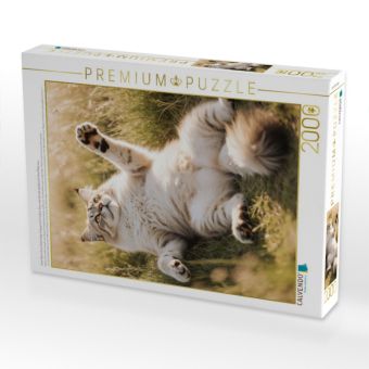 Produktbild: CALVENDO Puzzle Eine Maine Coon Katze liegt entspannt im hohen Gras und streckt spielerisch ihre Pfote aus. | 2000 Teile Lege-Gr&ouml;&szlig;e 90x67cm Foto-Puzzl