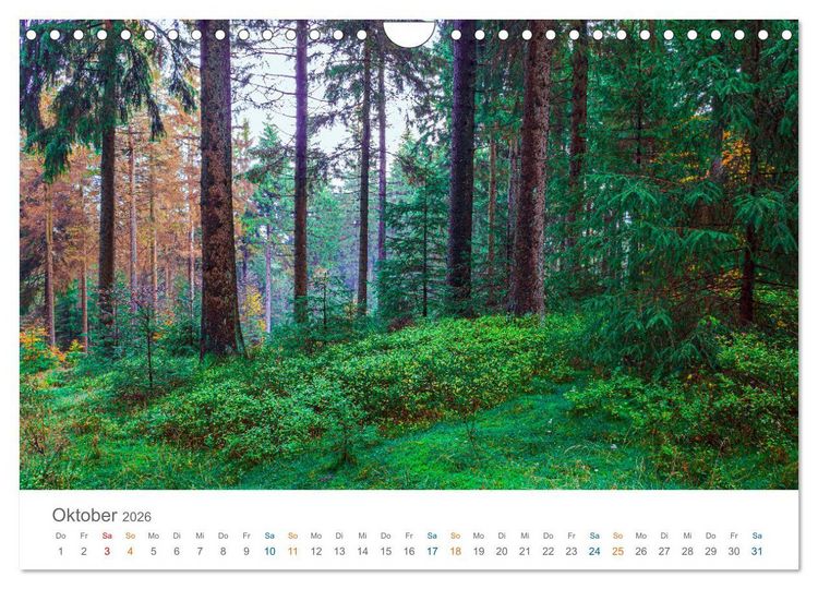 Produktbild: Rennsteig - Weitwanderweg (Wandkalender 2026 DIN A4 quer), CALVENDO Monatskalender