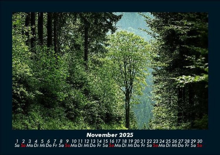 Produktbild: Waldzauber 2025 Fotokalender DIN A5