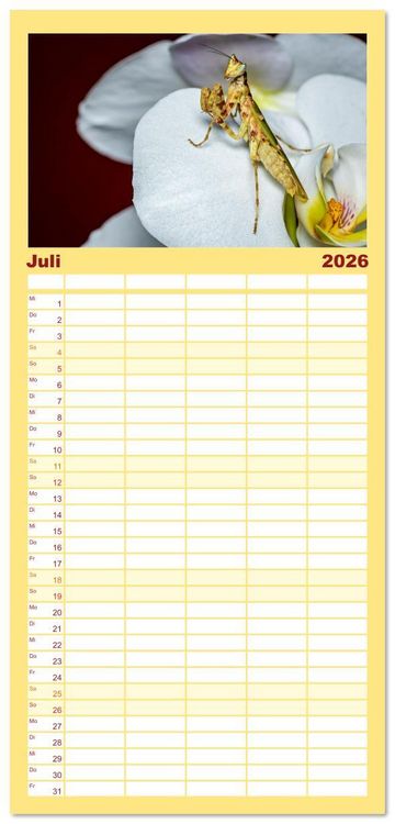 Produktbild: Familienplaner 2026 - Im Bann der Mantis mit 5 Spalten (Wandkalender, 21 x 45 cm) CALVENDO