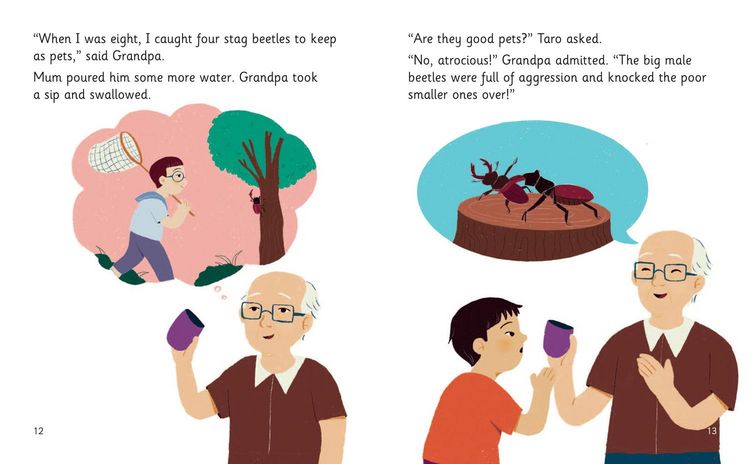 Produktbild: Taro and the Stag Beetle