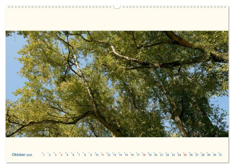 Produktbild: Am Rhein - Urdenbacher K&auml;mpe (hochwertiger Premium Wandkalender 2026 DIN A2 quer), Kunstdruck in Hochglanz