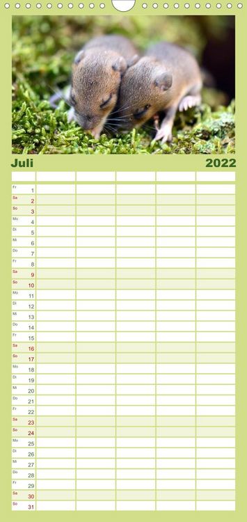 Produktbild: Familienplaner ... hier kommt die Maus ... (Wandkalender 2022 , 21 cm x 45 cm, hoch)