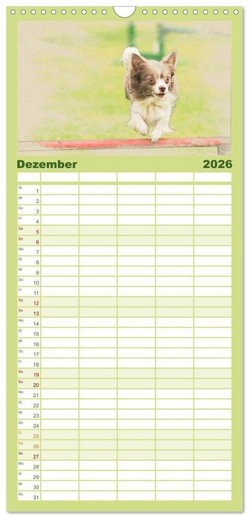 Produktbild: Familienplaner 2026 - Chihuahuas 2026 mit 5 Spalten (Wandkalender, 21 x 45 cm) CALVENDO