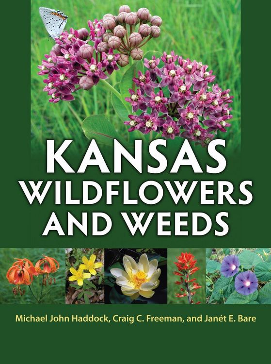 Produktbild: Kansas Wildflowers and Weeds