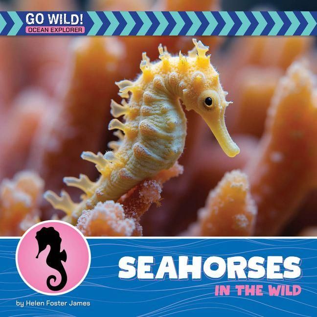 Produktbild: Seahorses in the Wild