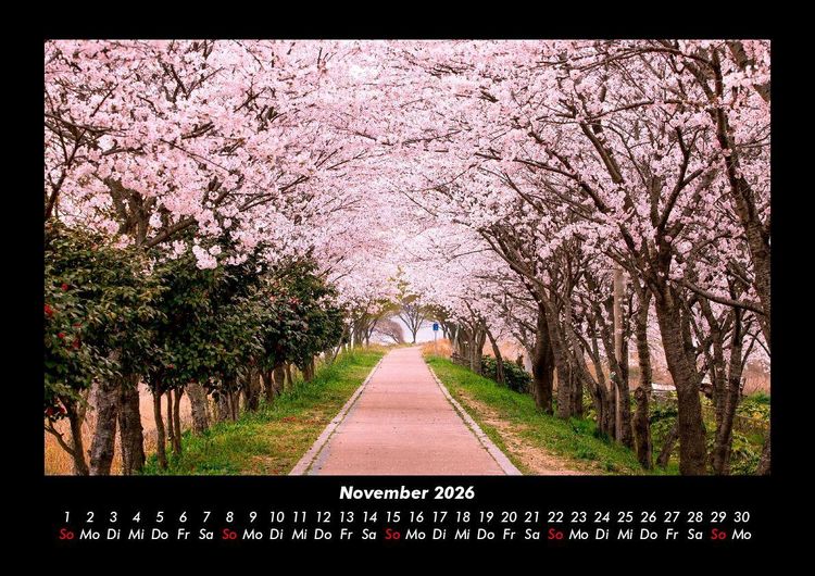 Produktbild: Natur Pur 2026 Fotokalender DIN A3